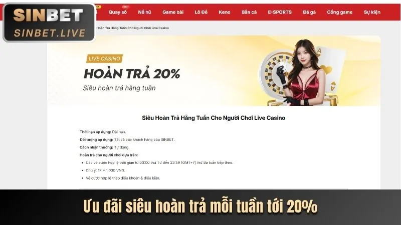 Các loại cookie khác nhau được 78be App iOS sử dụng